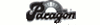 Paragon Sports